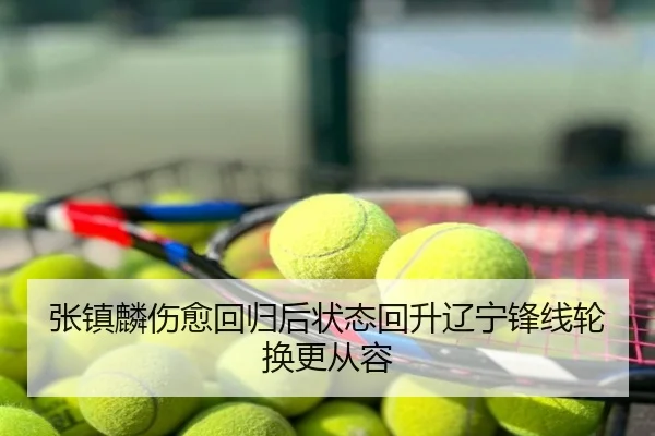 张镇麟伤愈回归后状态回升辽宁锋线轮换更从容